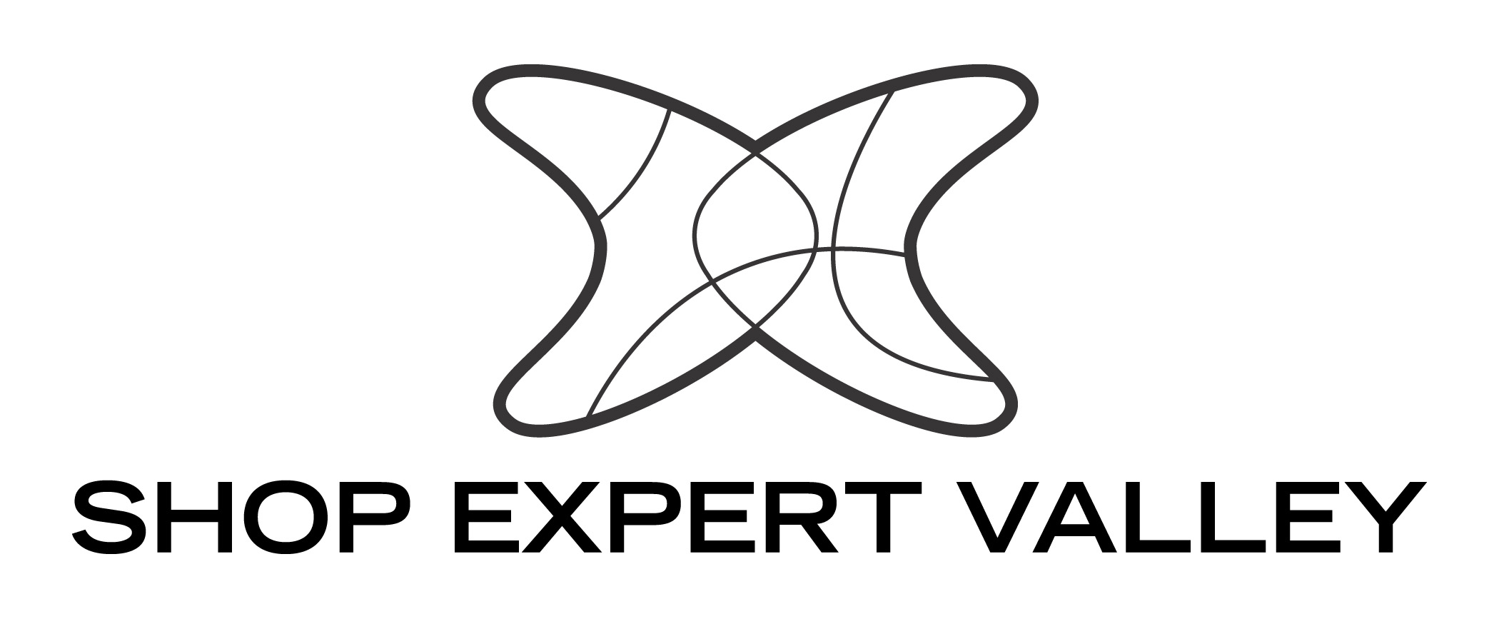 Logo adherent SHOP EXPERT VALLEY