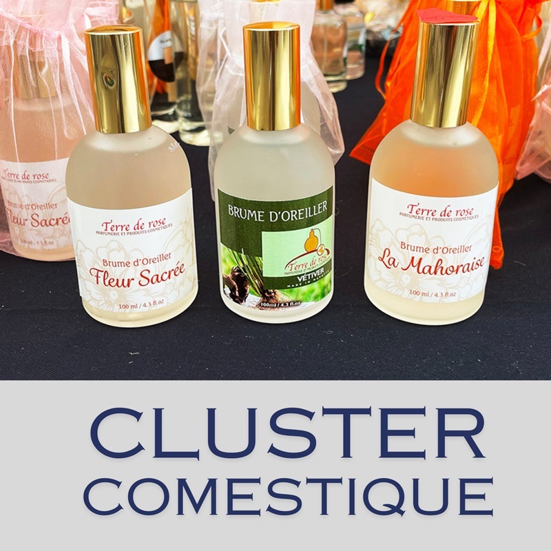 Logo adherent N'Gaya Maoré  (Cluster Cosmétique de Mayotte)